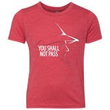 YOU SHALL NOT PASS (2) Youth Triblend T-Shirt