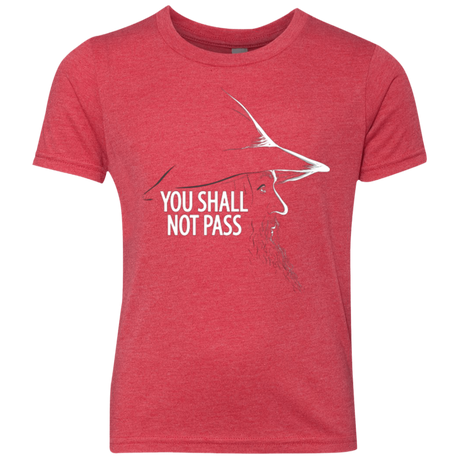 YOU SHALL NOT PASS (2) Youth Triblend T-Shirt