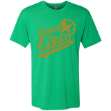 Down with the Capitol Men's Triblend T-Shirt