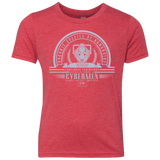 Who Villains Cybermen Youth Triblend T-Shirt