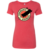 Magic Express Women's Triblend T-Shirt