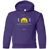Maze Metropolis Youth Hoodie