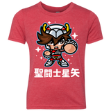 ChibiPegasus Youth Triblend T-Shirt