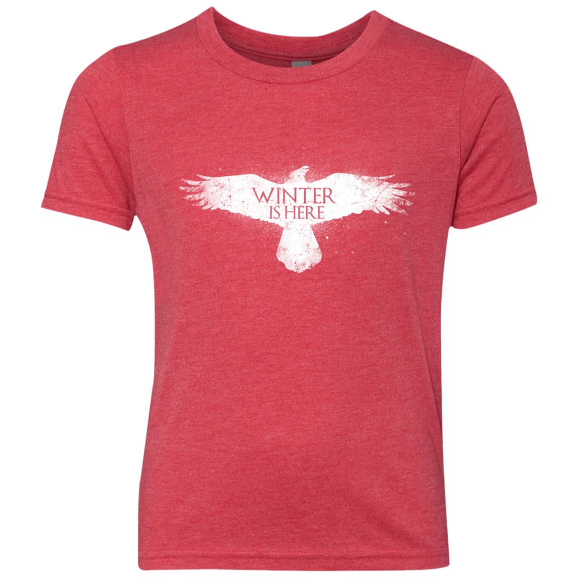 Winter is here Youth Triblend T-Shirt