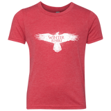 Winter is here Youth Triblend T-Shirt