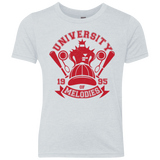 University of Melodies Youth Triblend T-Shirt