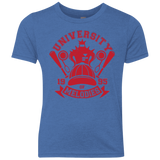 University of Melodies Youth Triblend T-Shirt