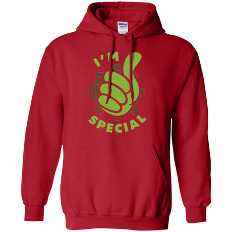 Special Dweller Pullover Hoodie