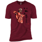 Flying for Freedom Men's Premium T-Shirt