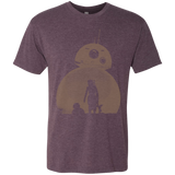 Desert Men's Triblend T-Shirt