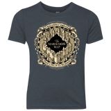 I Solemnly Swear Youth Triblend T-Shirt