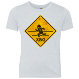 Cactuar Crossing Youth Triblend T-Shirt