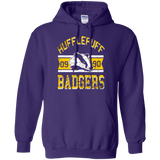 Badgers Pullover Hoodie