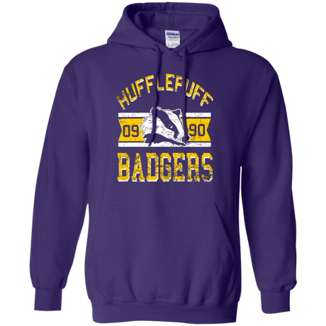 Badgers Pullover Hoodie