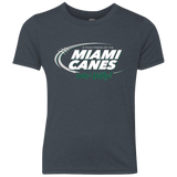 Miami Dilly Dilly Youth Triblend T-Shirt