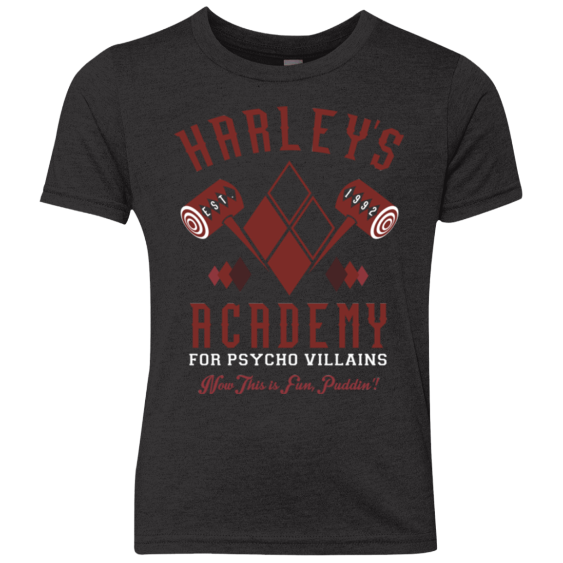 Harley's Academy Youth Triblend T-Shirt