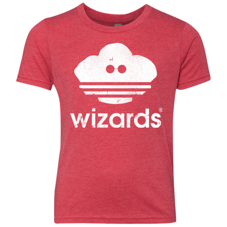 Wizards Youth Triblend T-Shirt