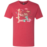 Anne of Green Gables 5 Men's Triblend T-Shirt