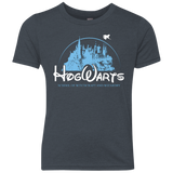 Wizneyland Youth Triblend T-Shirt