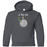 Le Petit Jedi Youth Hoodie