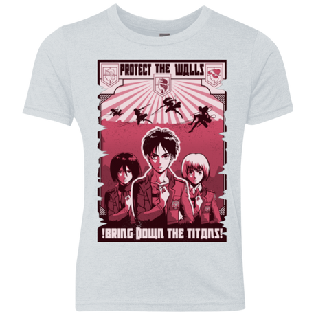 Protect the Walls Youth Triblend T-Shirt