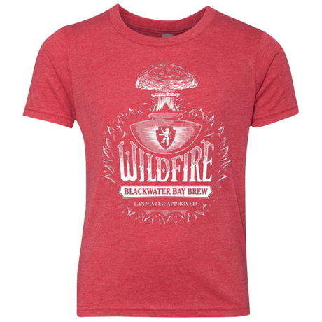 Wildfire Youth Triblend T-Shirt