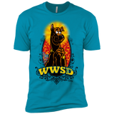 WWSD Boys Premium T-Shirt
