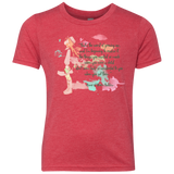 Anne of Green Gables 5 Youth Triblend T-Shirt