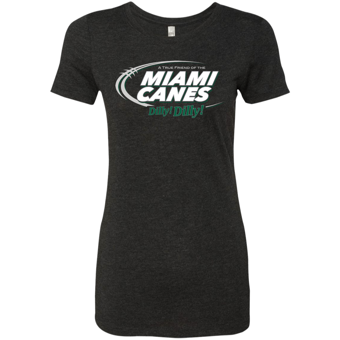 Miami Dilly Dilly Women's Triblend T-Shirt