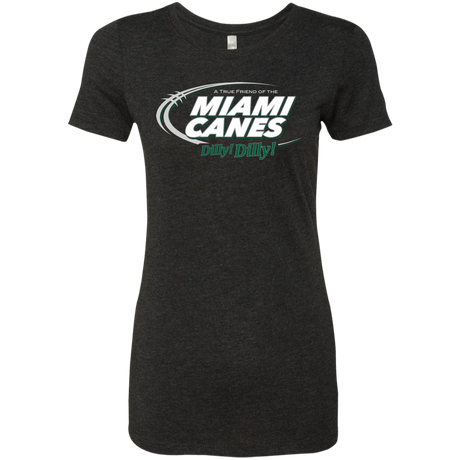 Miami Dilly Dilly Women's Triblend T-Shirt