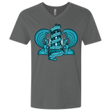 NORTHERN ORACLE Men's Premium V-Neck