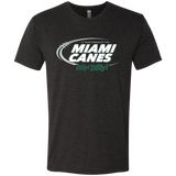 Miami Dilly Dilly Men's Triblend T-Shirt