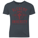 Alchemy University Youth Triblend T-Shirt