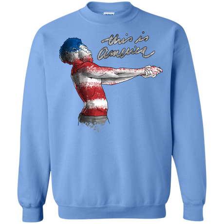 America Crewneck Sweatshirt