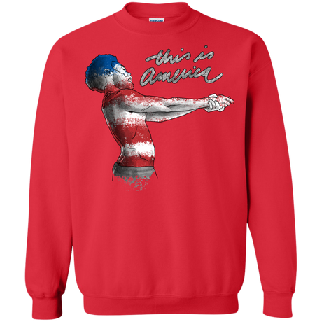 America Crewneck Sweatshirt