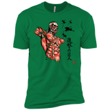 Flying for Freedom Men's Premium T-Shirt