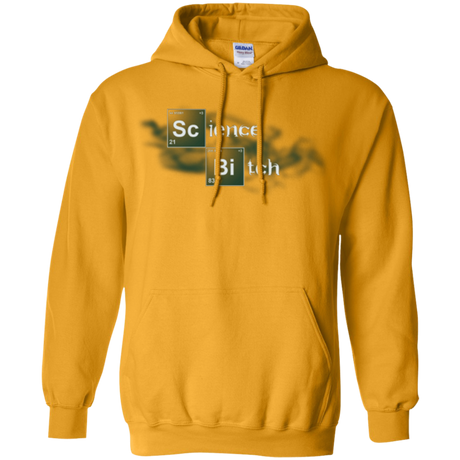 Science Bitch Pullover Hoodie