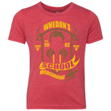 School of Misbehaving Youth Triblend T-Shirt