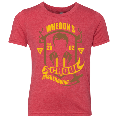 School of Misbehaving Youth Triblend T-Shirt