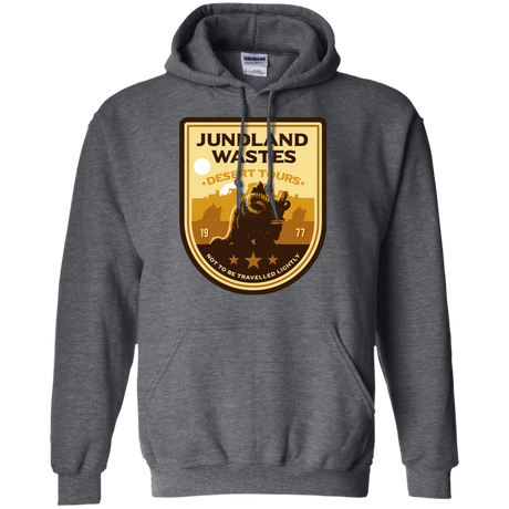 Desert Tours Pullover Hoodie