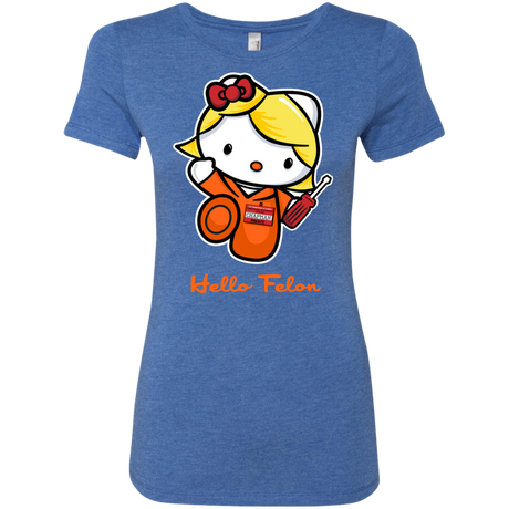 Orange is the New Cat Women's Triblend T-Shirt