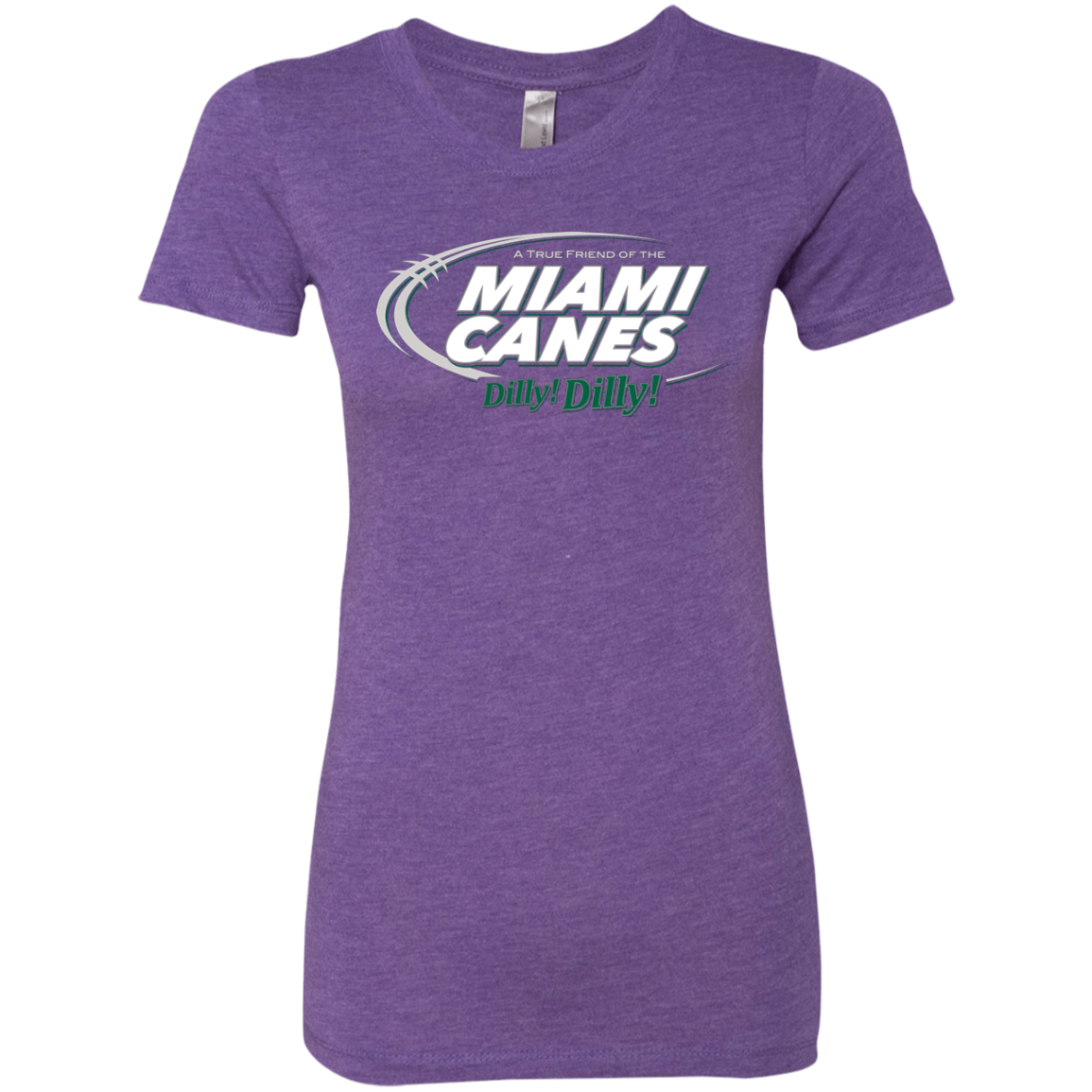 Miami Dilly Dilly Women's Triblend T-Shirt