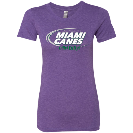 Miami Dilly Dilly Women's Triblend T-Shirt