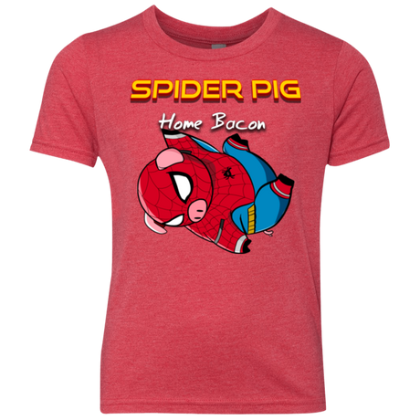 Spider Pig Hanging Youth Triblend T-Shirt