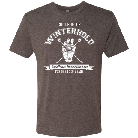 College of Winterhold Men's Triblend T-Shirt