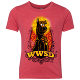 WWSD Youth Triblend T-Shirt