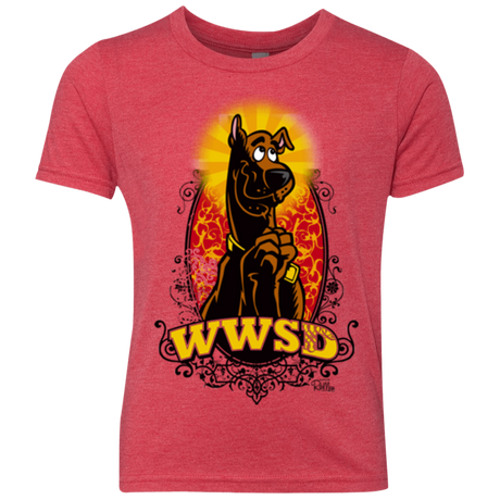 WWSD Youth Triblend T-Shirt