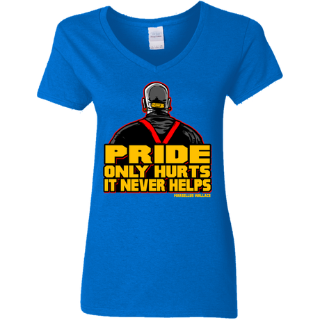 Pride Women's V-Neck T-Shirt