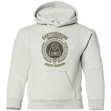 Earthbending university Youth Hoodie