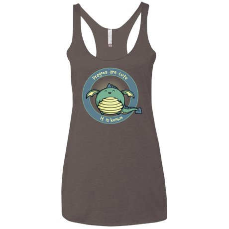 Dragons are Cute Women's Triblend Racerback Tank